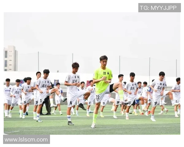 深入了解我们的足球队：历史成就战术风格与球员风采全解析